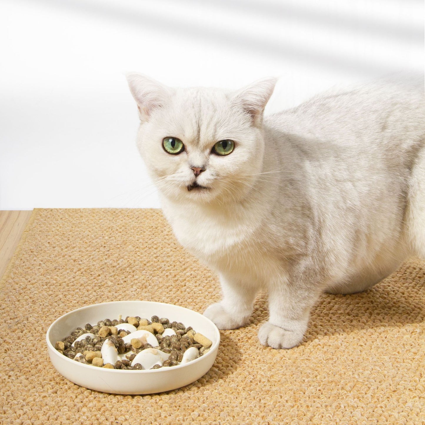 Slow Feeding Bowl for Cats & Dogs – Anti-Choke Goldfish Design Melamine Pet Feeder