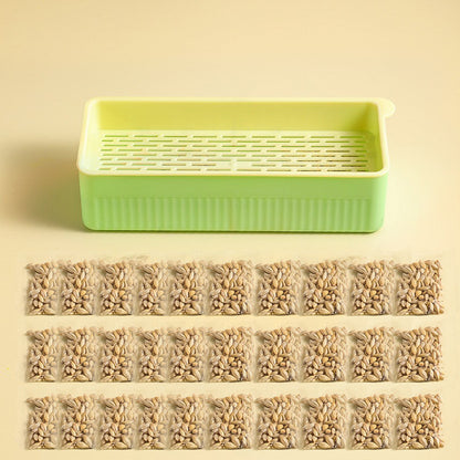 Hydroponic Cat Grass Box – Soilless Wheat Seed Growing Kit for Cats, Pink/Blue-Green/Yellow-Green