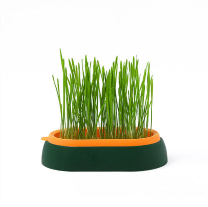 Cat Grass Basin – Lazy Soil-Free Hydroponic Wheat Seed Growing Kit for Cats