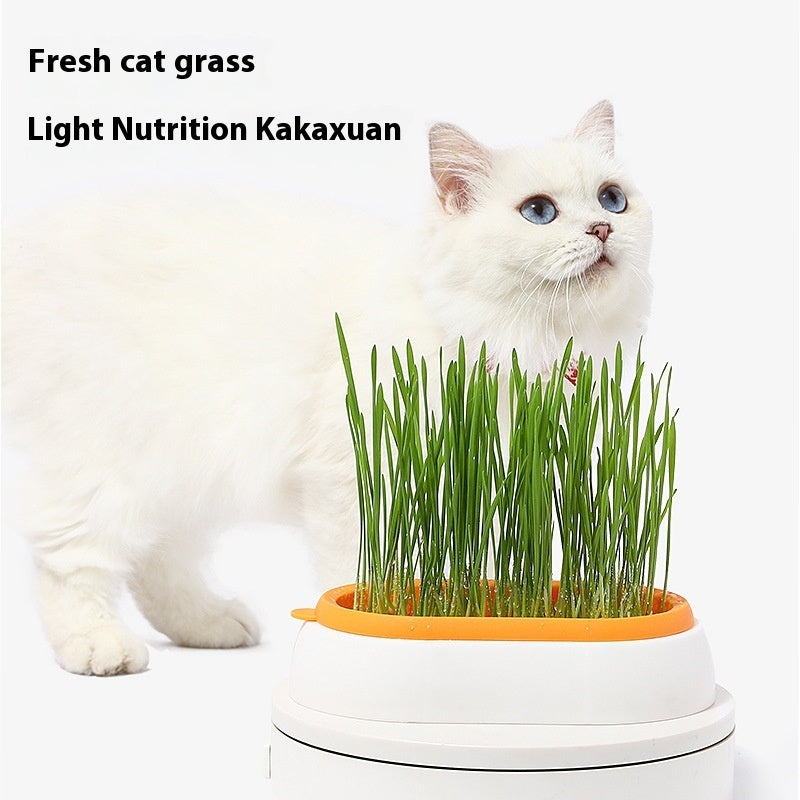 Cat Grass Basin – Lazy Soil-Free Hydroponic Wheat Seed Growing Kit for Cats