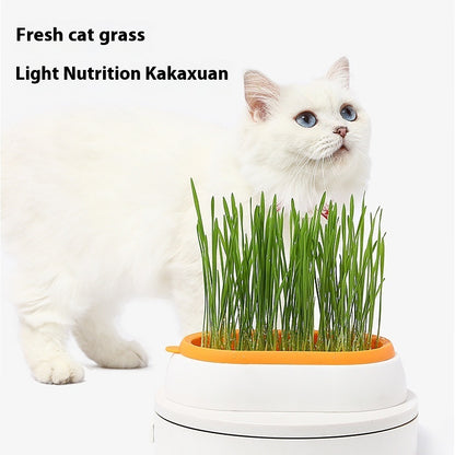 Cat Grass Basin – Lazy Soil-Free Hydroponic Wheat Seed Growing Kit for Cats
