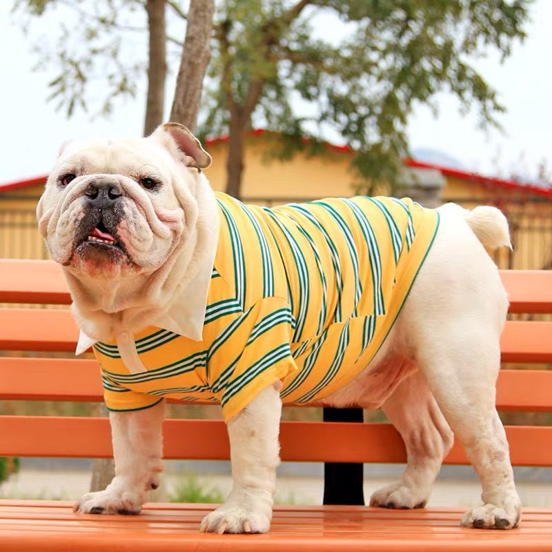 Summer Polo Dog Shirt – Cotton Pet T-Shirt for Small to Large Dogs, Casual Polo in Blue, Yellow & Green (S–5XL)