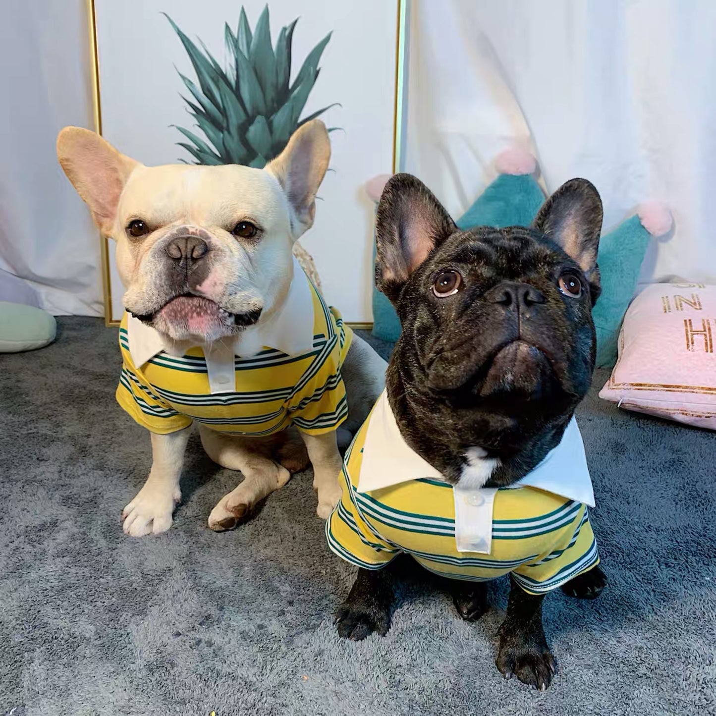 Summer Polo Dog Shirt – Cotton Pet T-Shirt for Small to Large Dogs, Casual Polo in Blue, Yellow & Green (S–5XL)