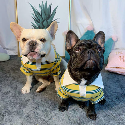 Summer Polo Dog Shirt – Cotton Pet T-Shirt for Small to Large Dogs, Casual Polo in Blue, Yellow & Green (S–5XL)