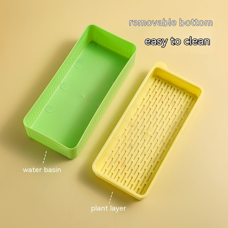 Hydroponic Cat Grass Box – Soilless Wheat Seed Growing Kit for Cats, Pink/Blue-Green/Yellow-Green