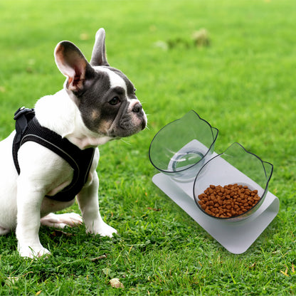 Kitten Bowl with Cervical Support – Single, Double, or Triple Elevated Feeding Basin for Cats