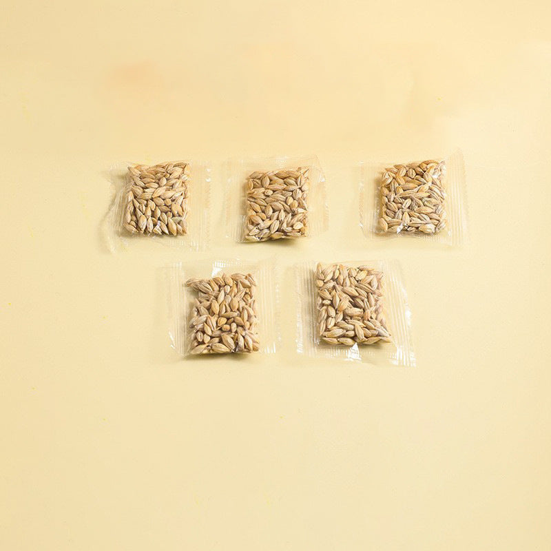 Hydroponic Cat Grass Box – Soilless Wheat Seed Growing Kit for Cats, Pink/Blue-Green/Yellow-Green