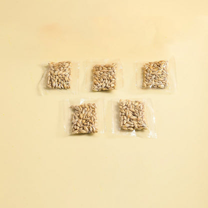 Hydroponic Cat Grass Box – Soilless Wheat Seed Growing Kit for Cats, Pink/Blue-Green/Yellow-Green