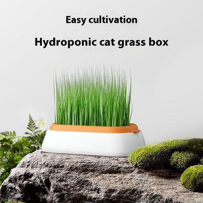Cat Grass Basin – Lazy Soil-Free Hydroponic Wheat Seed Growing Kit for Cats
