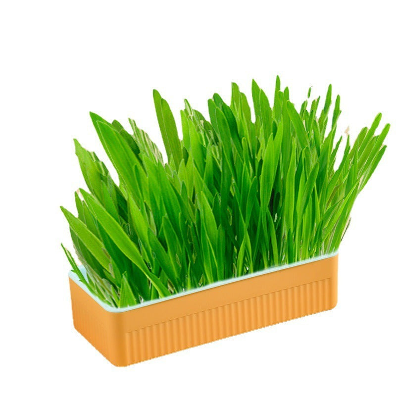 Hydroponic Cat Grass Box – Soilless Wheat Seed Growing Kit for Cats, Pink/Blue-Green/Yellow-Green