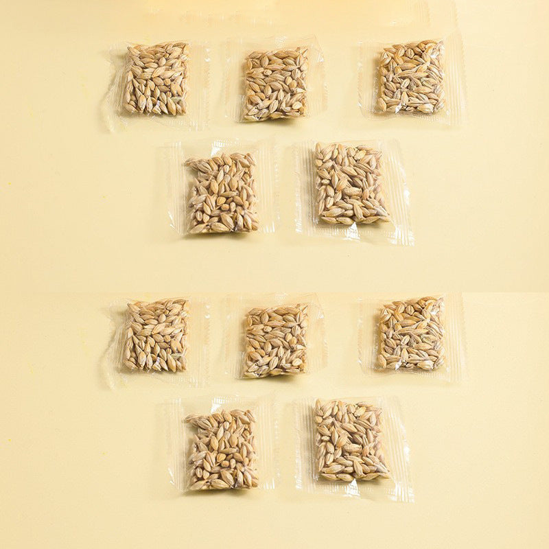 Hydroponic Cat Grass Box – Soilless Wheat Seed Growing Kit for Cats, Pink/Blue-Green/Yellow-Green