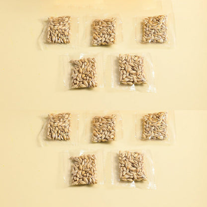 Hydroponic Cat Grass Box – Soilless Wheat Seed Growing Kit for Cats, Pink/Blue-Green/Yellow-Green