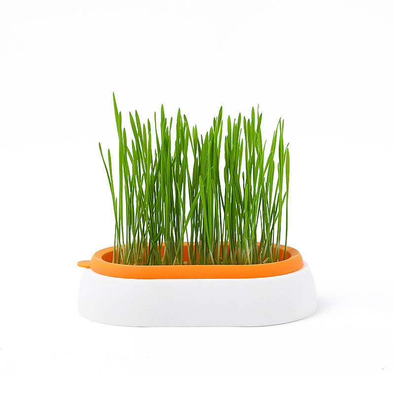 Cat Grass Basin – Lazy Soil-Free Hydroponic Wheat Seed Growing Kit for Cats