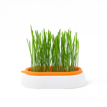 Cat Grass Basin – Lazy Soil-Free Hydroponic Wheat Seed Growing Kit for Cats